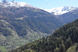 Platane B4 - Grimentz - 1