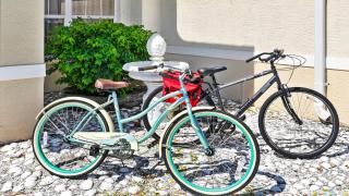 Timeout -south facing terrace with large pool - Cape Coral - 9