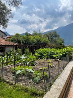 Family House - 1