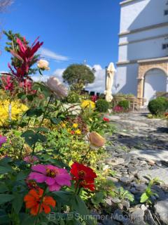 月光夏民宿Summer Moonlight-712 - 6