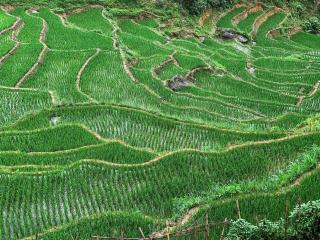 Larosa Homestay Sapa - 1