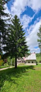 Holiday Home Stevas - Žabljak - 8
