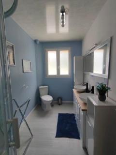 Maison familiale Cherbourg-ping pong-baby foot - 1