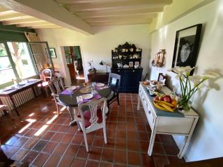 Domaine Du Tafiart - Sarron - 4
