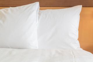 Holiday Inn & Suites Green Bay Stadium by IHG - 5