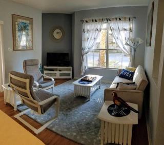Bright and Spacious 1Bed 1Bath condo - Clearwater - 8
