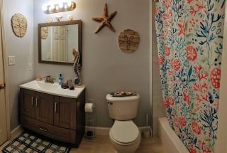 Bright and Spacious 1Bed 1Bath condo - Clearwater - 5