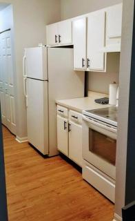 Bright and Spacious 1Bed 1Bath condo - Clearwater - 4
