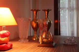 The Bicknell's Nest - 3