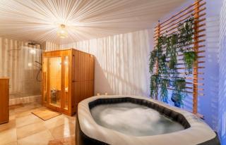 Sauna et Spa, Gîte le Carrousel - Piolenc - 9