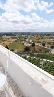 Dimora d'Itria - Locorotondo - 7