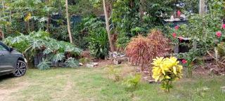 Massakini Bé- T2 sans coupure d'eau à kaweni - Mamoudzou - 1