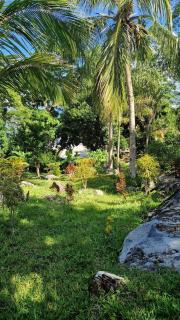Villa ecolodge sur l ile de nosy komba - Nosy Komba - 6