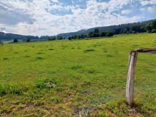 Penzion SLUPEČNÁ - Lipno nad Vltavou - 5