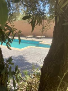 Villa Les Oliviers - Ourika - 3