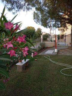 Olive mare Holidays - 6