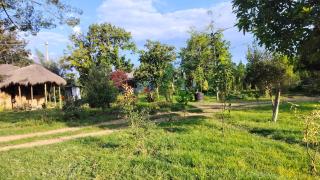 Podocarpus Cottages -02 - Naro Moru - 4