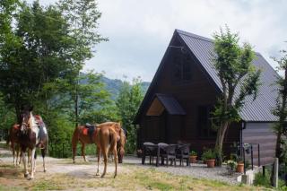 Cottage KOLKHA - 6