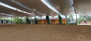 Hotel Campestre Refugio Ecuestre Rionegro - 5