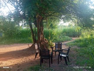 Home Stay Mihinthale - 1