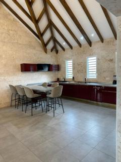 Villa Choisy - Sainte-Rose - 2
