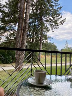 Casa Anja Zlatibor - 4