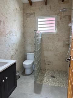 Villa Choisy - Sainte-Rose - 7