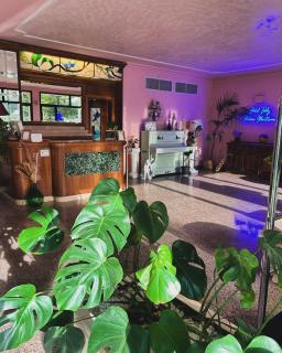 Hotel Baby B&B - Milano Marittima - 5