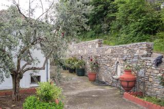 Γαλήνη Home - Zagora - 1