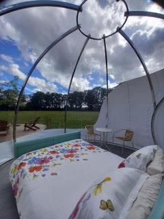 La Bulle des alpagas - 8