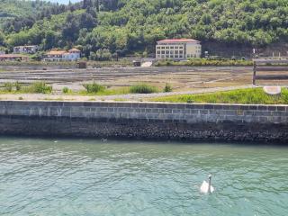 Salt Field Residence - Strunjan - 3