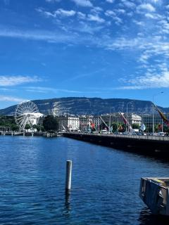 Appartement 1,5 Genève Lac - Ginevra - 8