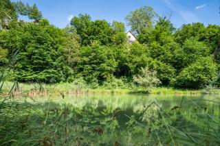 Apartma Mimi - Radovljica - 2