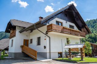 Apartma Mimi - Radovljica - 9