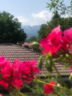 Guest house Legeto - Samokov - 8