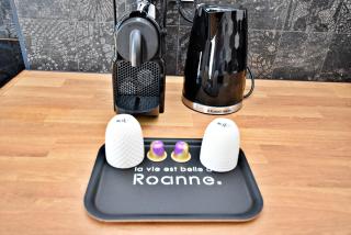 Suite Arum classée 3 étoiles avec terrasse - Roanne - 7