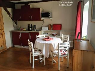 Ferienwohnung Kastanienblick oder Parkblick, oder unser Radlerzimmer! - Ziethen - 7