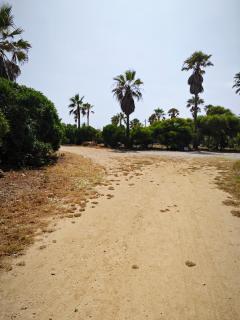 Villa Plage David Bouznika - Mohammedia - 8