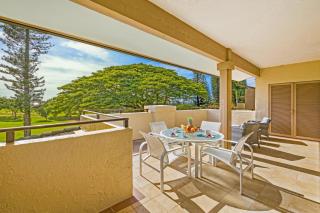 Spacious Lanai Retreat, Kapalua Maui - Kahana - 9