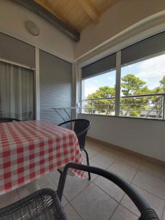 Mile Starigrad - Book your next cozy vacation - Starigrad-Paklenica - 5