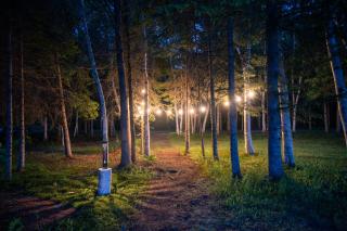 Le Relais des Hautes Gorges - 3