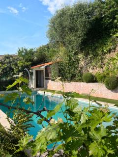Nissa la bella, Piscine et vue mer - Nice - 8