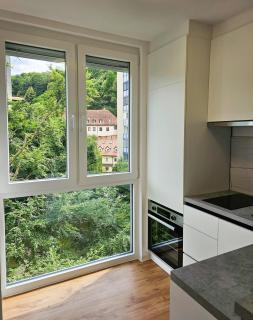 TOP - Ljubljana's Central Gem - free public parking - 3