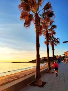 Rincón del Mar - Patio Privado Ajardinado - 100m Playa Morro de Gos - Oropesa del Mar - 1