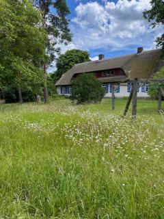 Pfarrhaus Tollensesee - Penzlin - 7