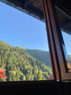 Ayder Wooden Rooms - Ayder Yaylasi - 6