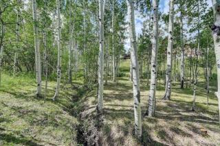 House of The Rising Sun - 6