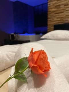 Le Cocon des Granges - Suite Sauna Jaccuzi SPA - Bonnières-sur-Seine - 3