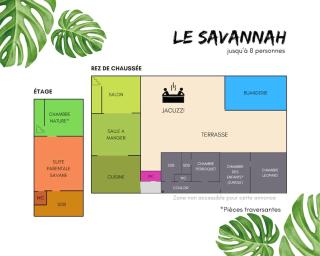 Savannah - 6-8 - Jacuzzi - Zoo de Beauval - Saint-Aignan - 1