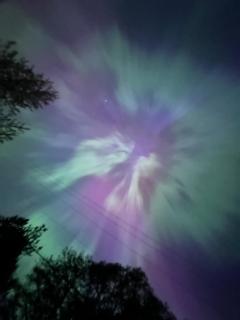 Bear Valley Guesthouse - 8